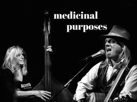 Medicinal Purposes - Americana Band - Dubuque, IA - Hero Gallery 4