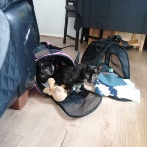 Gallery Photo 39