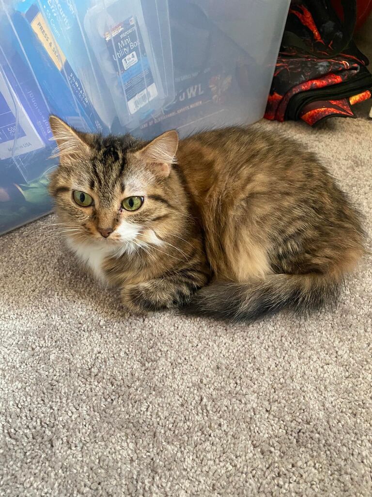 We adopted a tiny baby Ari.