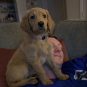 Gallery Photo 31