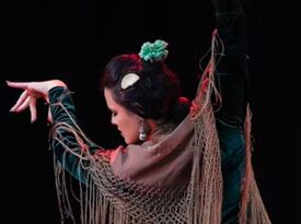 Lamerche flamenco academy LLC - Flamenco Band - Lehigh Acres, FL - Hero Gallery 4