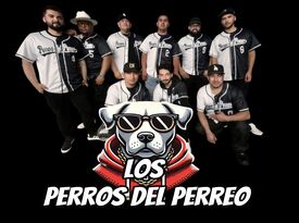 Los Perros del Perreo - Latin Band - Chino Hills, CA - Hero Gallery 3