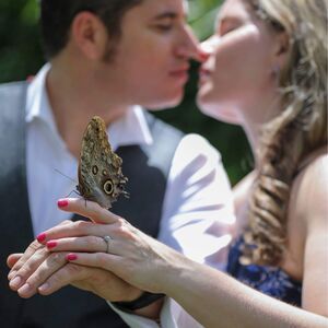 Gallery Photo 9