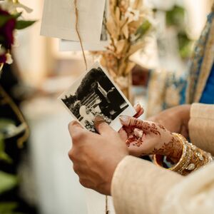 Gallery Photo 42