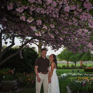 Gallery Photo 41