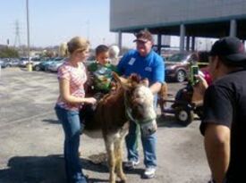 Pony Rides and Petting Zoo - Petting Zoo - San Antonio, TX - Hero Gallery 3