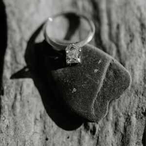 Gallery Photo 7