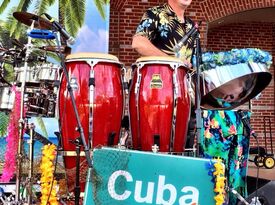 caribbean steel drum types