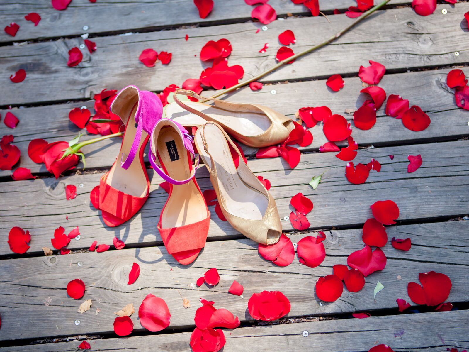Wedding day heels and rose petals