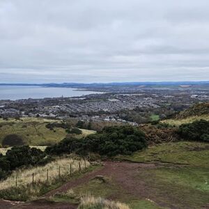 Gallery Photo 349