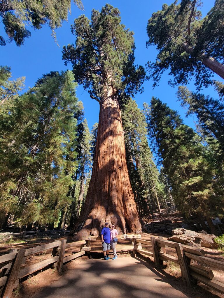Sequoia and Kings Canyon National Park California