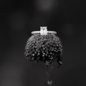 Gallery Photo 21