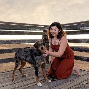 Gallery Photo 31