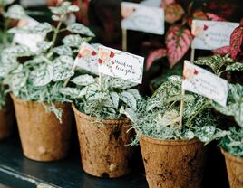 Flower pots for floral wedding favors 