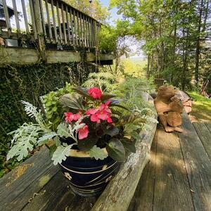 Gallery Photo 36
