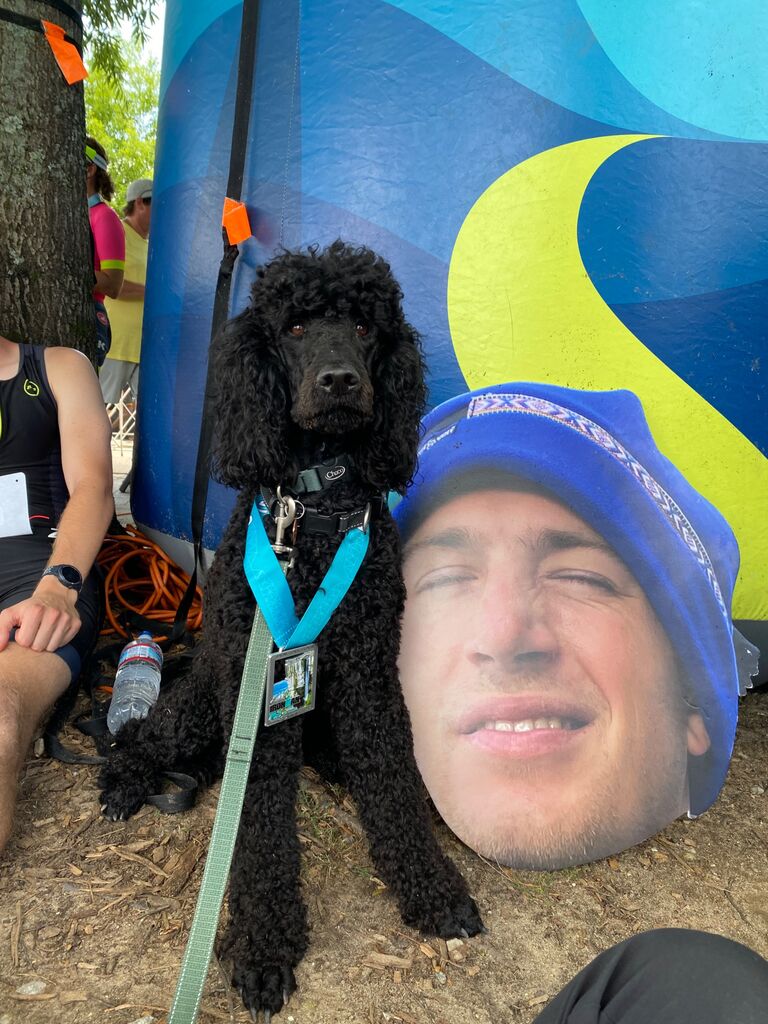The best support dog