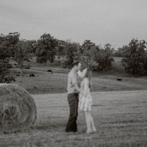Gallery Photo 19
