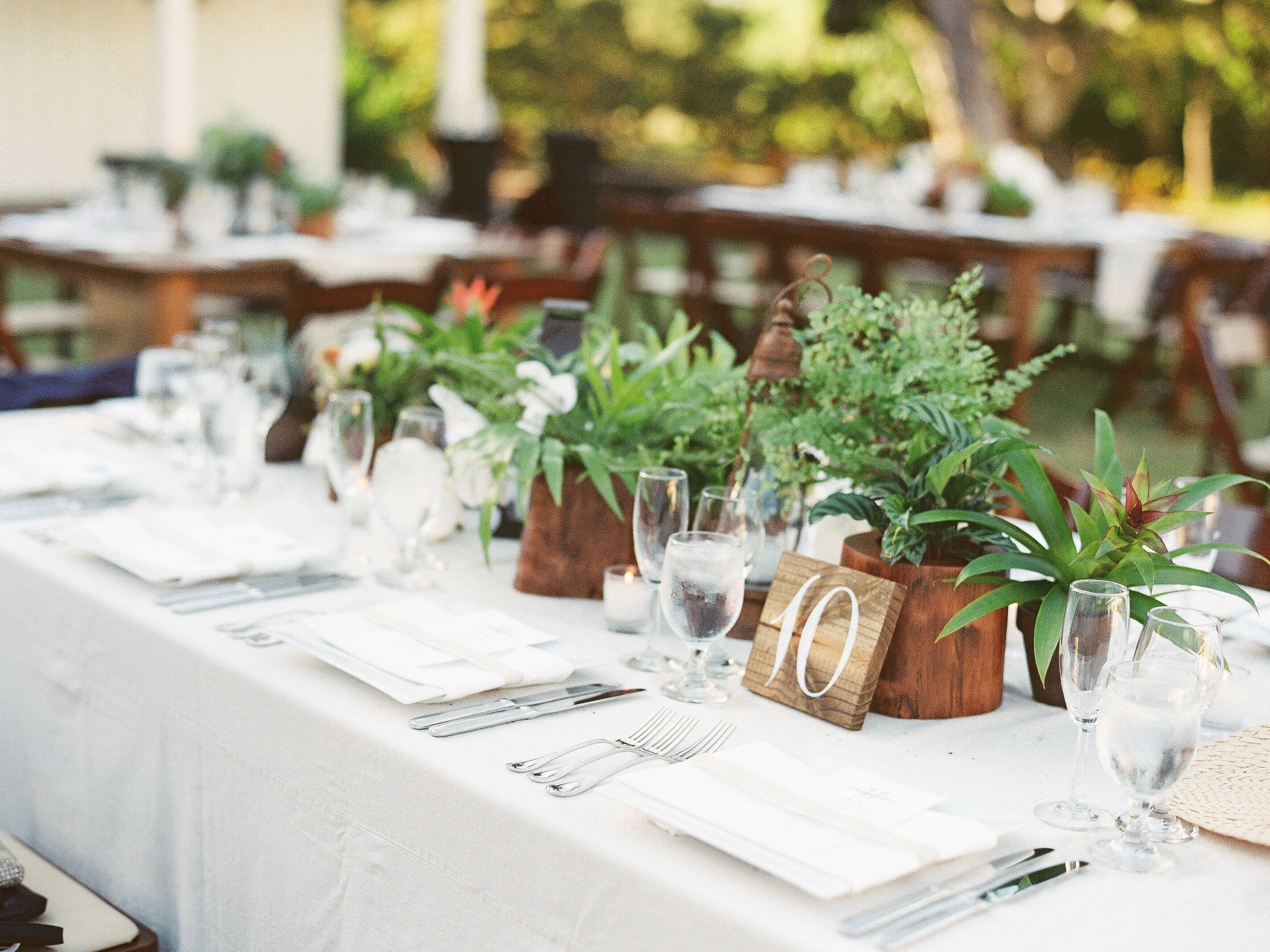 simple inexpensive wedding centerpieces with potted plants