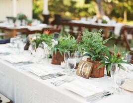 simple inexpensive wedding centerpieces with potted plants