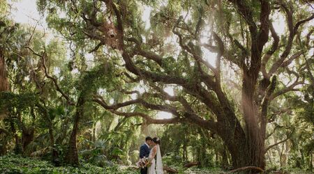 Amanda Burrichter and Daniel Myers's Wedding Website - The Knot