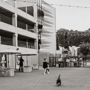 Gallery Photo 10