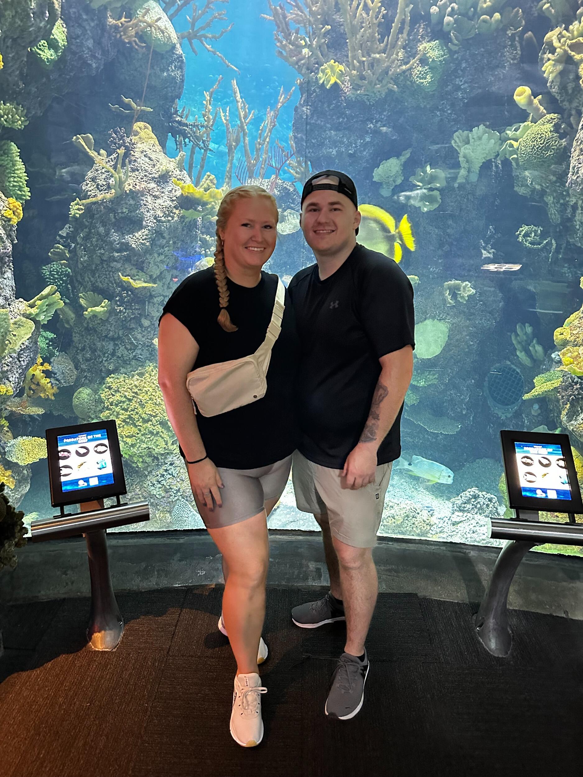 Shedd Aquarium 