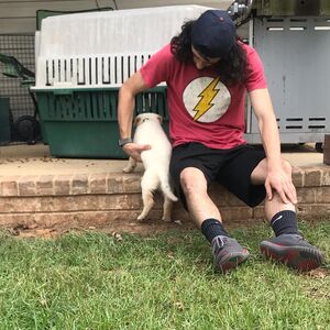 Gallery Photo 46