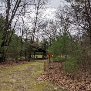 Gallery Photo 10