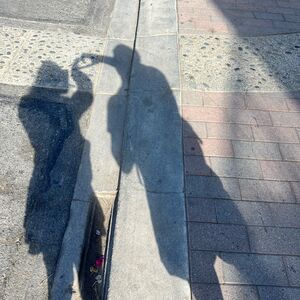 Gallery Photo 10