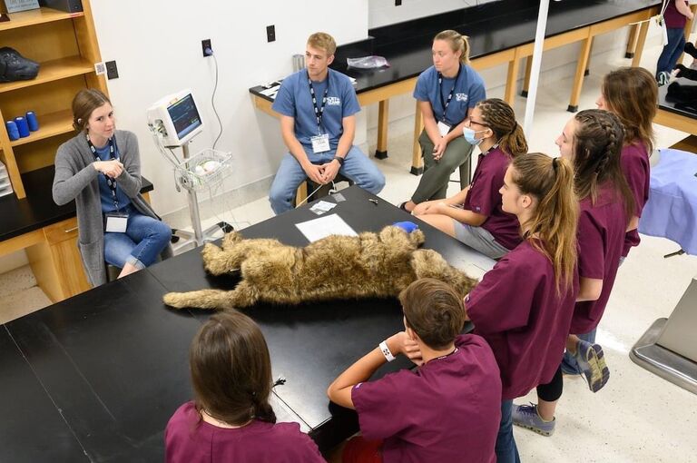 We loved teaching at Vet Camp