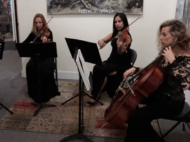 Ruti Celli Ensambles - String Quartet - Miami, FL - Hero Gallery 1