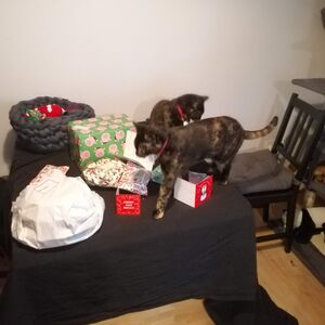 Gallery Photo 23