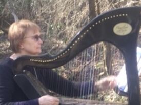 Kathy Wallace - Harpist - Asheville, NC - Hero Gallery 3