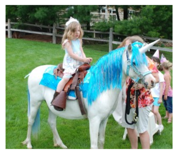 Indianapolis Pony Ride Parties and Petting Zoo - Petting Zoo - Indianapolis, IN - Hero Main