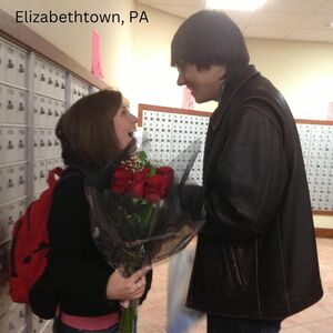 Gallery Photo 7
