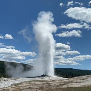 Gallery Photo 209