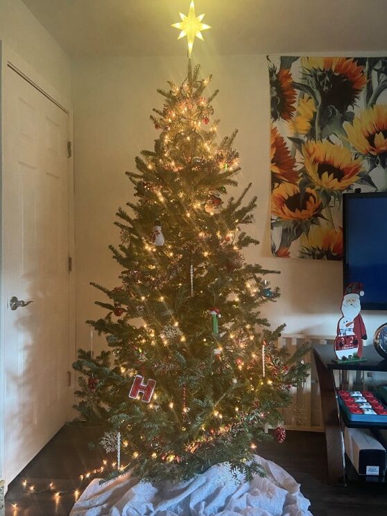Christmas 2021 :)