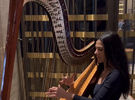 Marta - Harp&Voice - Harpist - New York City, NY - Hero Gallery 1