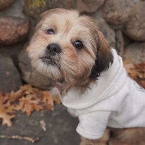 Gallery Photo 33