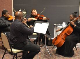 The Element String Quartet - String Quartet - Indianapolis, IN - Hero Gallery 1