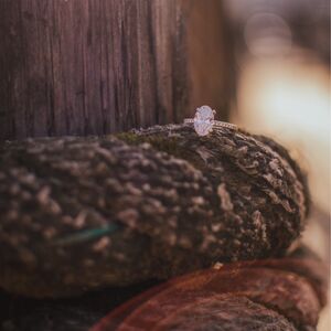 Gallery Photo 31
