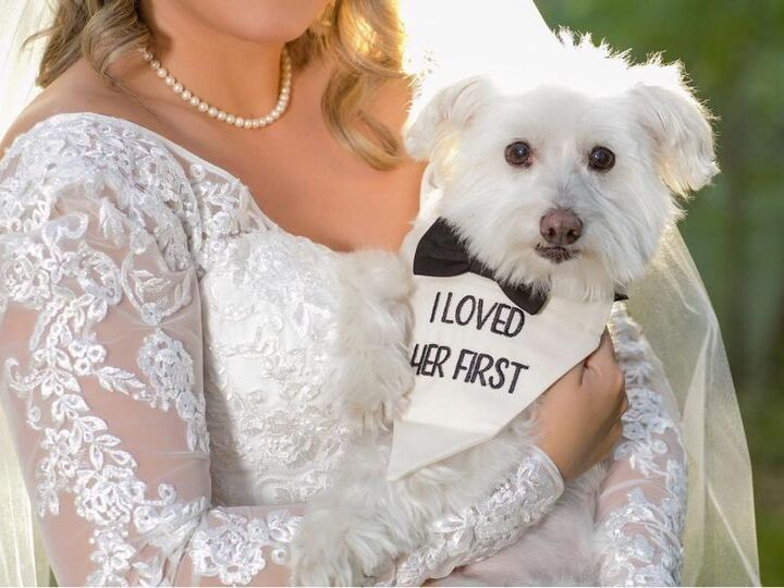 Bride with her cute pup at her wedding