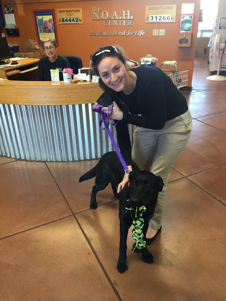 Adopted Daisy! She has kept us busy ever since