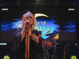 Stevie McVie - Stevie Nicks/Fleetwood Mac & More! - Cover Band - Chicago, IL - Hero Gallery 2
