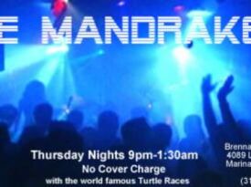 The Mandrakes - Cover Band - Huntington Beach, CA - Hero Gallery 4