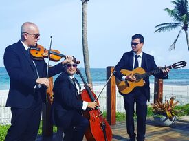 DELUXE STRING TRIO - String Quartet - Miami, FL - Hero Gallery 2