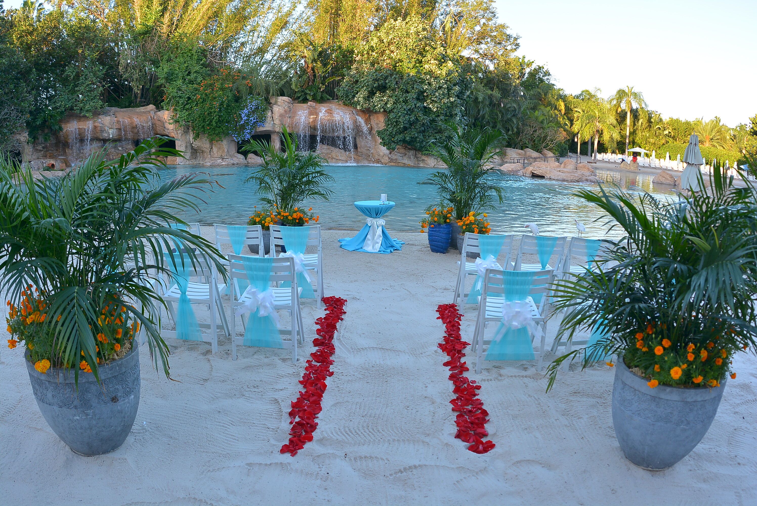 Discovery Cove | Reception Venues - Orlando, FL