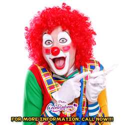 Kiddy's Kingdom/Celebrations Tampa, FL, profile image