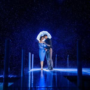 Gallery Photo 49