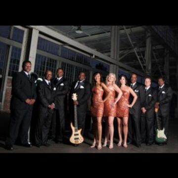 The Malemen Show Band - Motown Band - Chattanooga, TN - Hero Main